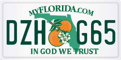 FL license plate DZHG65