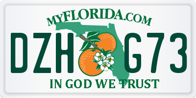 FL license plate DZHG73