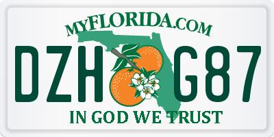 FL license plate DZHG87