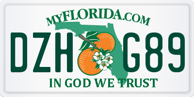FL license plate DZHG89