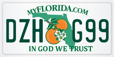 FL license plate DZHG99