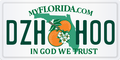 FL license plate DZHH00