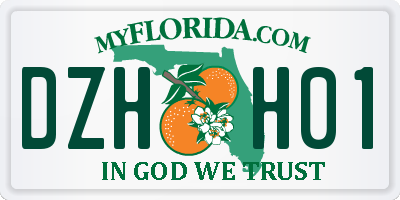 FL license plate DZHH01