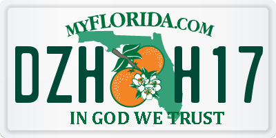 FL license plate DZHH17