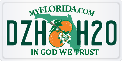 FL license plate DZHH20