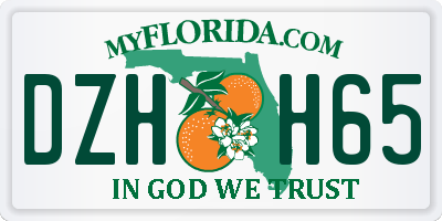 FL license plate DZHH65
