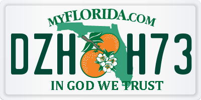 FL license plate DZHH73