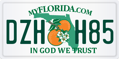 FL license plate DZHH85