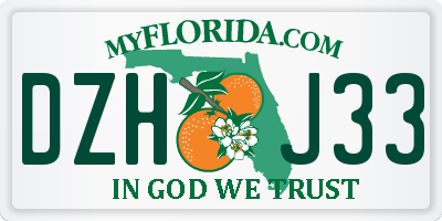 FL license plate DZHJ33