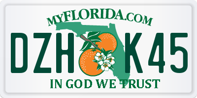 FL license plate DZHK45