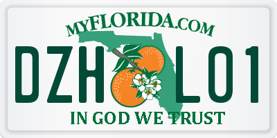 FL license plate DZHL01
