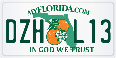 FL license plate DZHL13