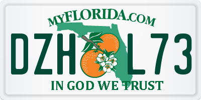 FL license plate DZHL73
