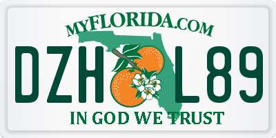 FL license plate DZHL89