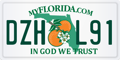 FL license plate DZHL91
