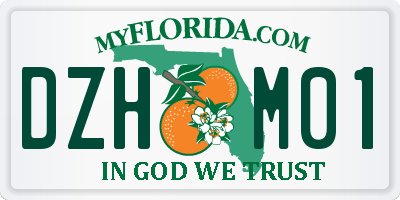 FL license plate DZHM01