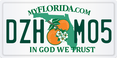 FL license plate DZHM05