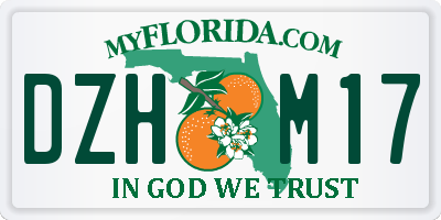 FL license plate DZHM17
