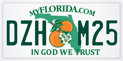 FL license plate DZHM25