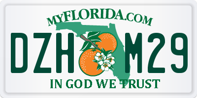 FL license plate DZHM29