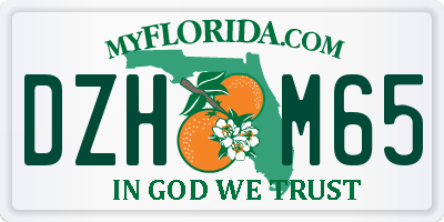FL license plate DZHM65