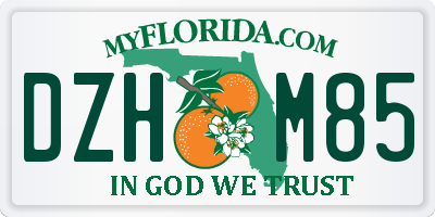 FL license plate DZHM85
