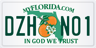 FL license plate DZHN01