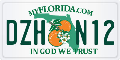 FL license plate DZHN12