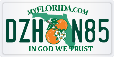 FL license plate DZHN85