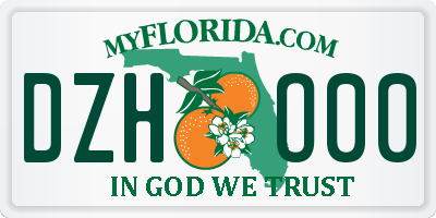 FL license plate DZHO00