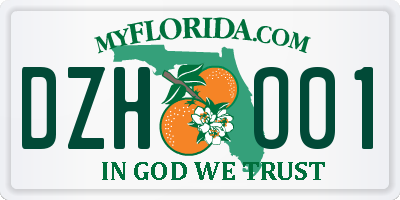 FL license plate DZHO01
