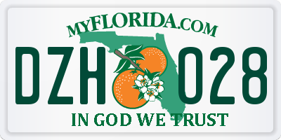 FL license plate DZHO28