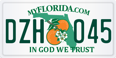 FL license plate DZHO45