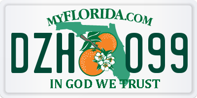 FL license plate DZHO99