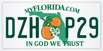 FL license plate DZHP29