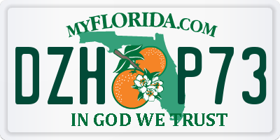 FL license plate DZHP73