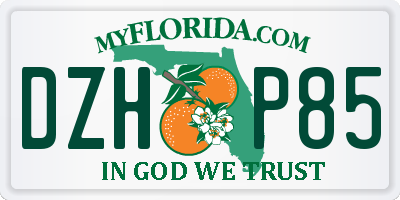 FL license plate DZHP85
