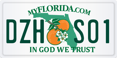 FL license plate DZHS01