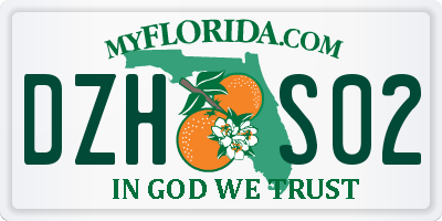 FL license plate DZHS02