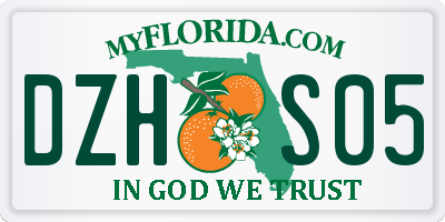 FL license plate DZHS05