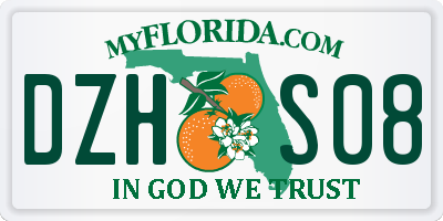 FL license plate DZHS08
