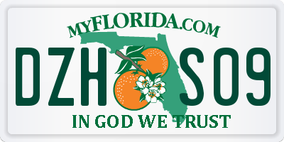 FL license plate DZHS09
