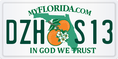 FL license plate DZHS13