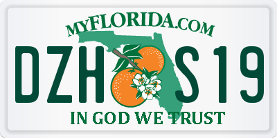FL license plate DZHS19