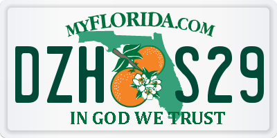 FL license plate DZHS29