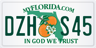 FL license plate DZHS45
