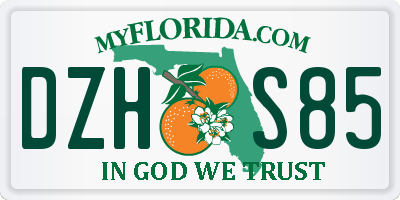 FL license plate DZHS85