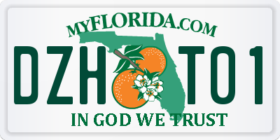 FL license plate DZHT01