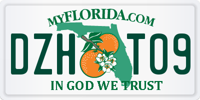FL license plate DZHT09