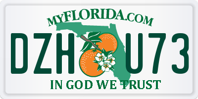 FL license plate DZHU73